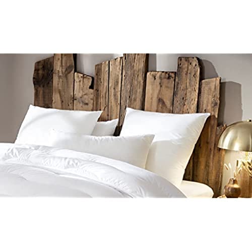 abeil-oreillers-ferme-dour-ve-absolu-oreiller-60x60-lot-de-2-ferme image 8
