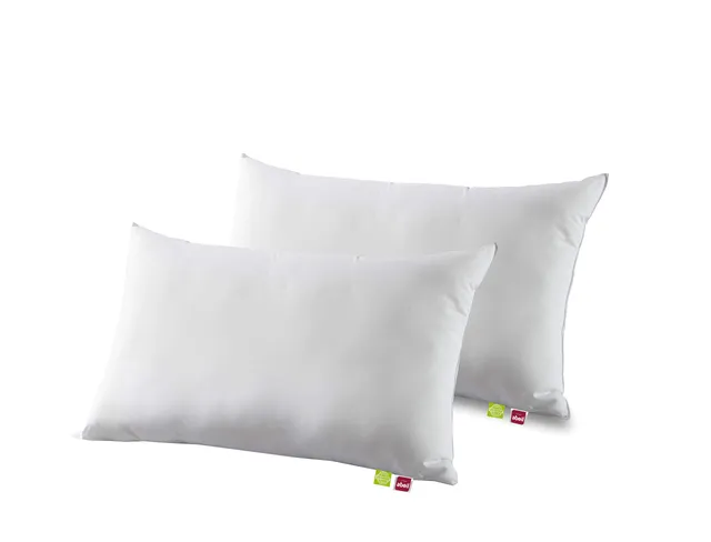 abeil-bio-attitude-lot-de-2-oreillers-45x70-coton-bio image 1