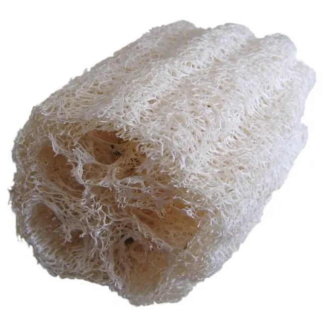 arbaurea-loofah-10-cm-exfoliant-corps-v-g-tal-naturel image 1