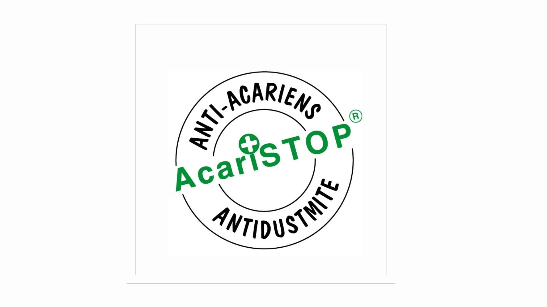 abeil-oreillers-moelleux-acaristop-oreiller-60x60-lot-de-2-anti-acariens image 4