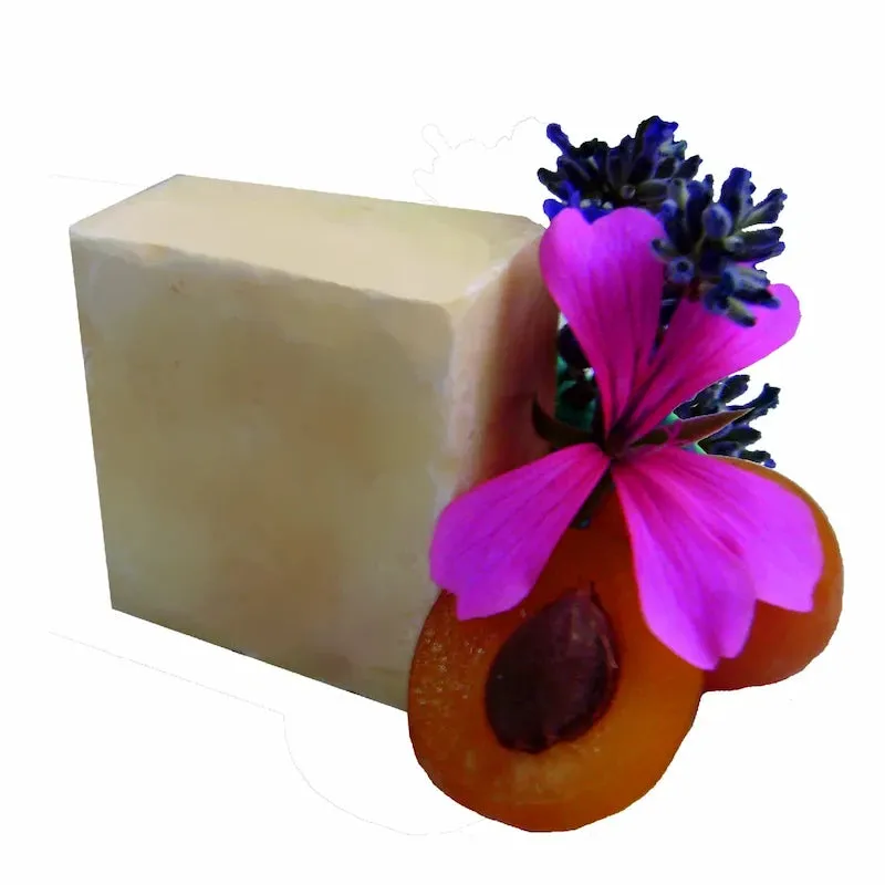 arbaurea-lorelei-shampoing-solide-sans-sulfate-cheveux-secs-1-pav image 1