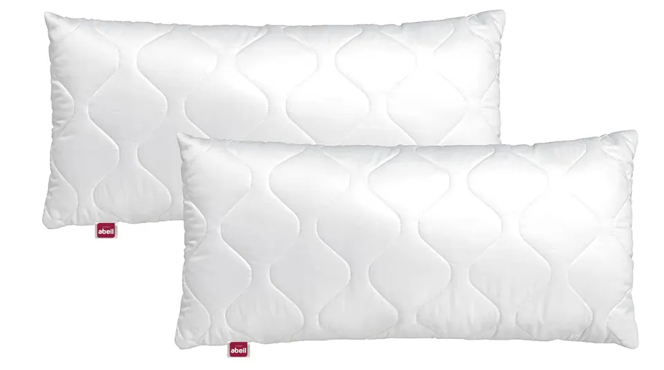 abeil-30x50-coussin-canap-moelleux-lot-de-2 image 1