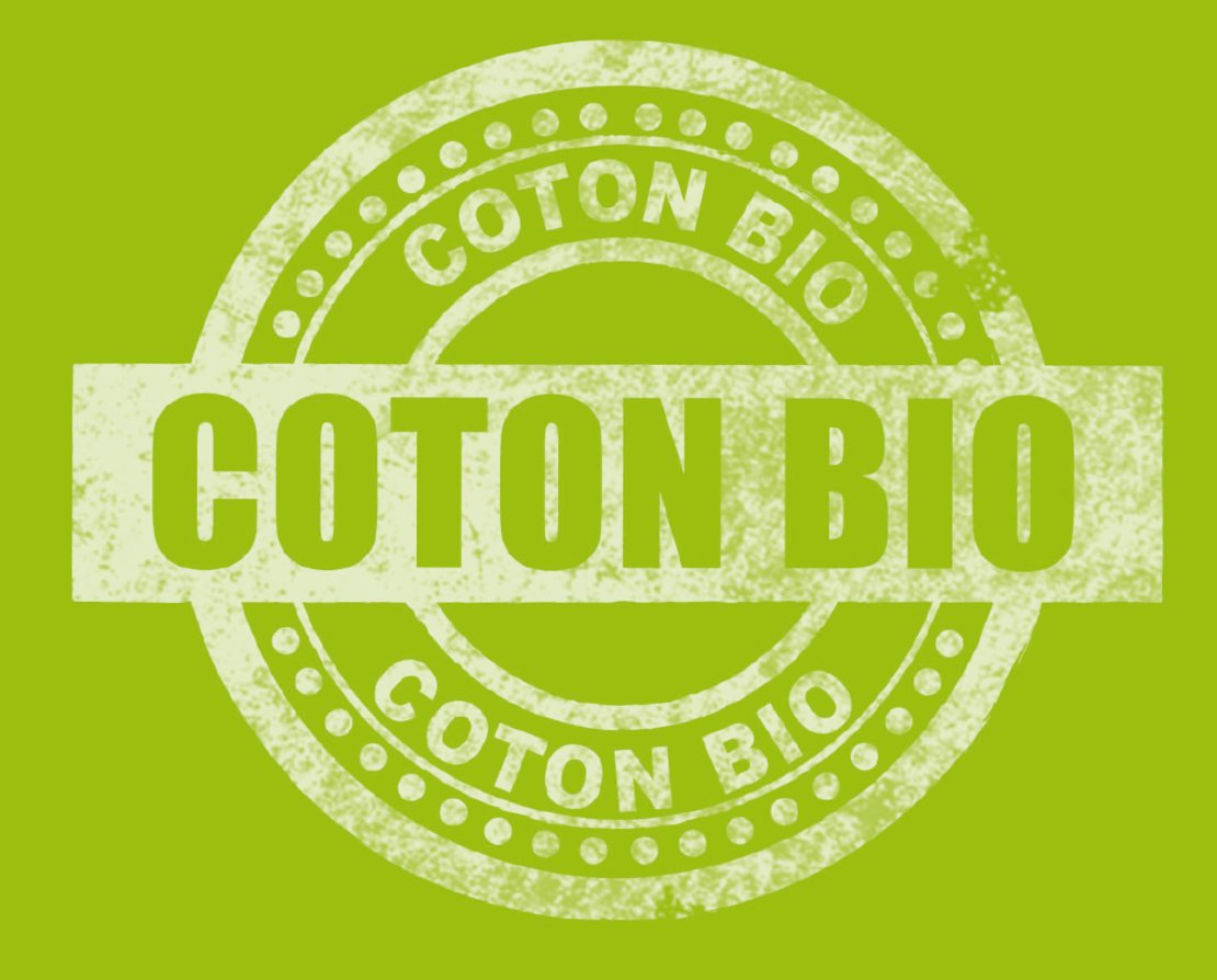 abeil-bio-attitude-lot-de-2-oreillers-45x70-coton-bio image 5