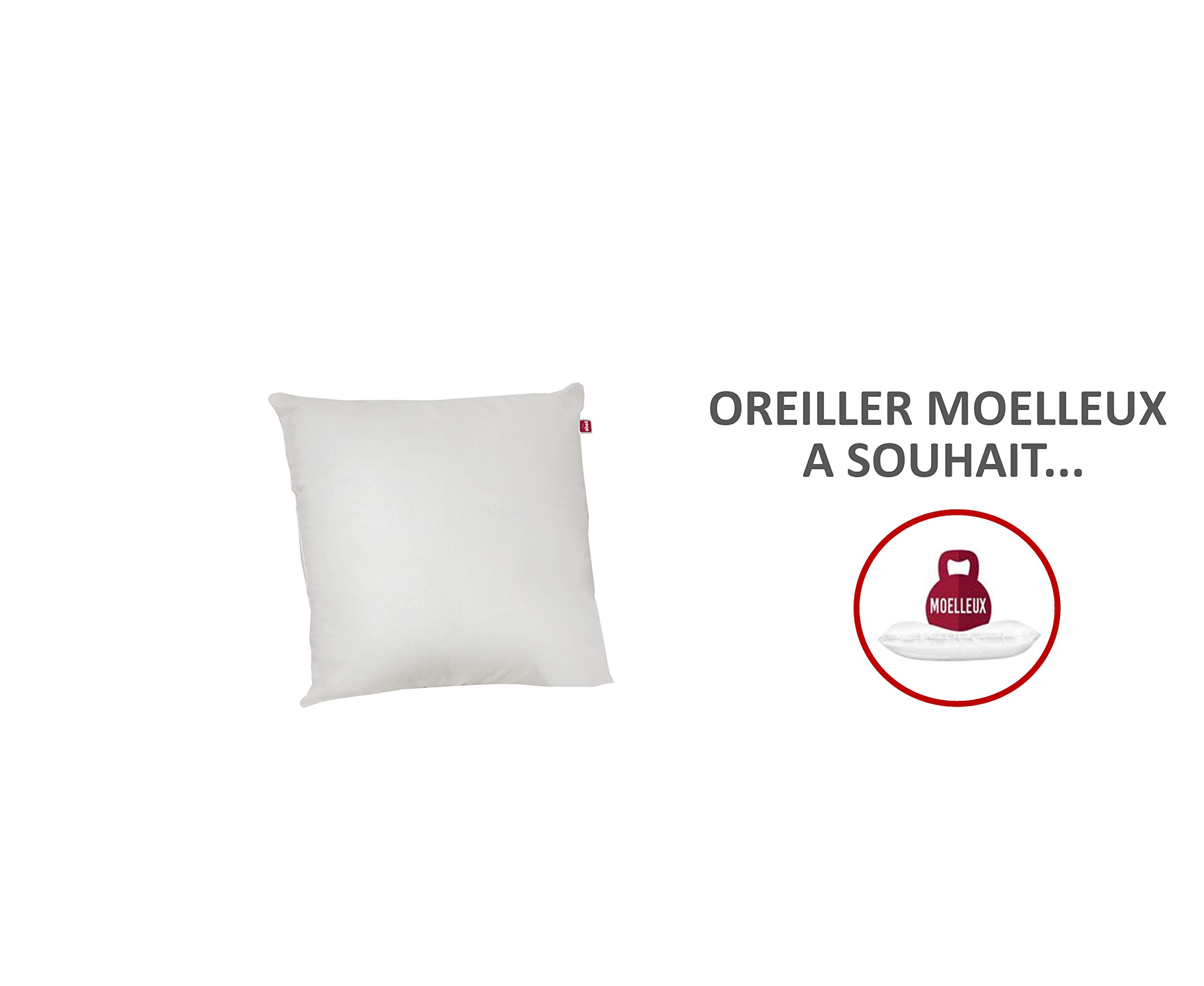 abeil-couettes-temp-r-e-140x200-oreiller-60x60 image 5