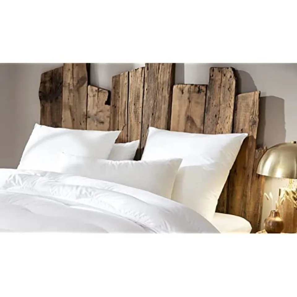 abeil-oreillers-ferme-dour-ve-absolu-oreiller-60x60-lot-de-2-ferme image 1
