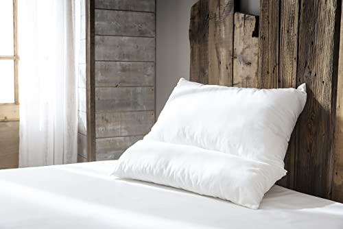abeil-oreillers-moelleux-multi-confort-65-x-65-cm-oreiller-coton image 7