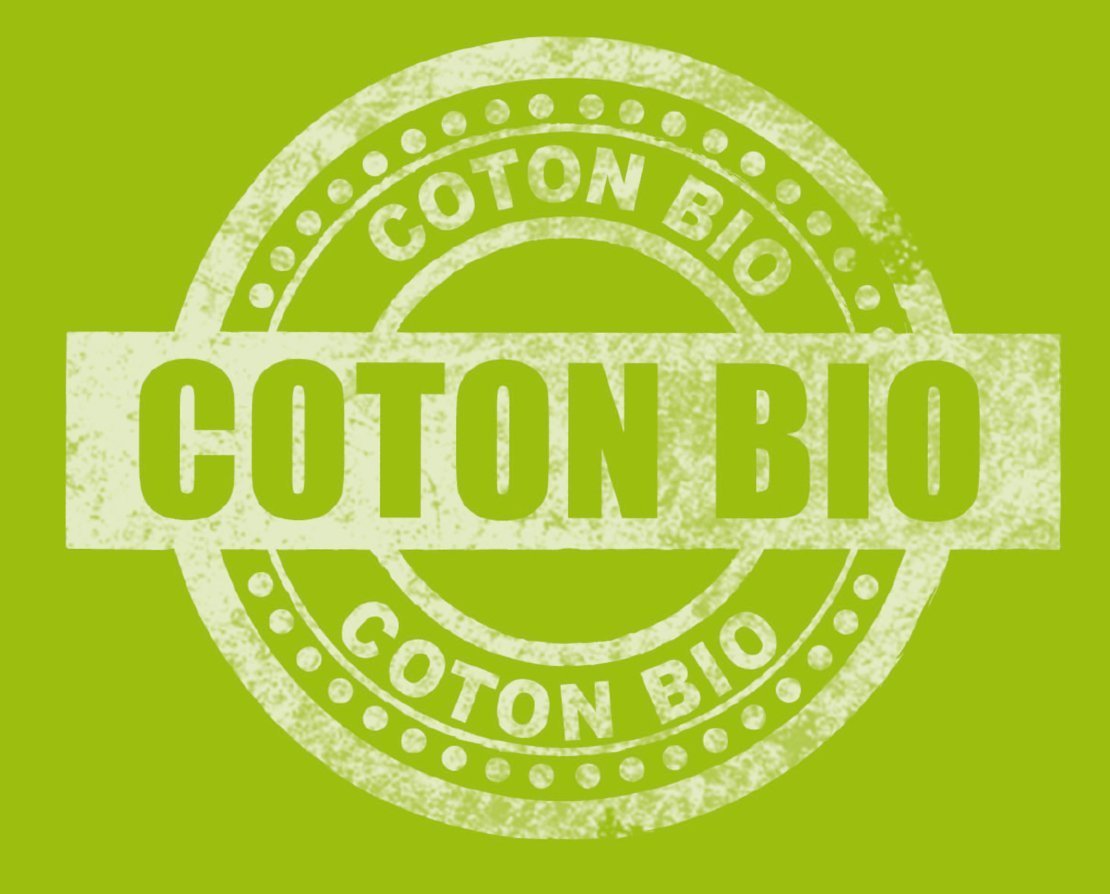 abeil-bio-attitude-lot-2-oreillers-60x60-cm-coton-bio image 6