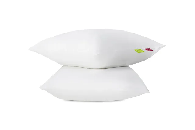 abeil-bio-attitude-lot-2-oreillers-60x60-cm-coton-bio image 1