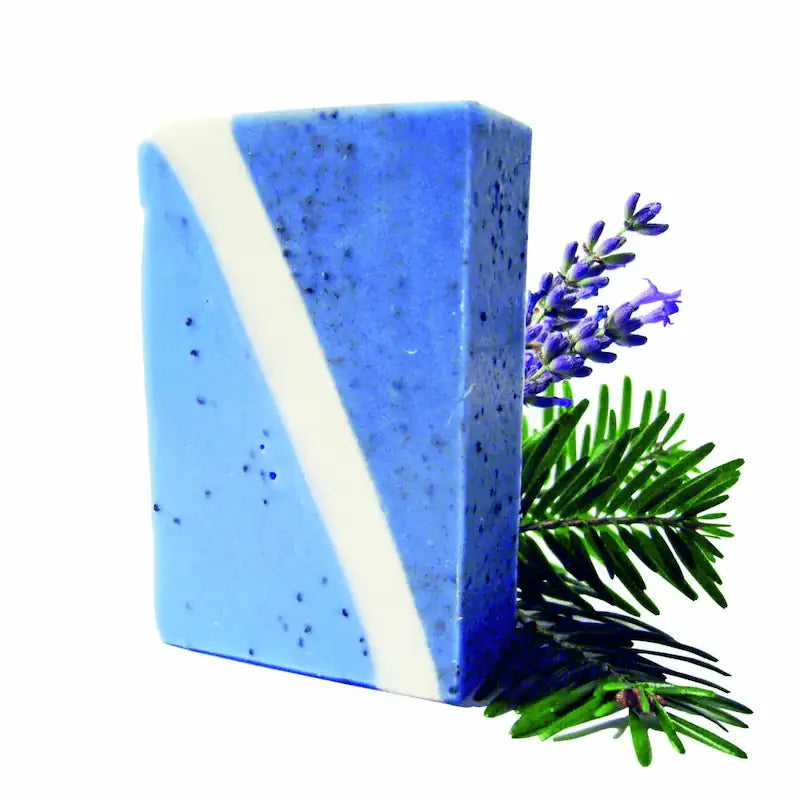arbaurea-vandal-savon-saponifi-froid-exfoliant-lavandin-sapin image 1