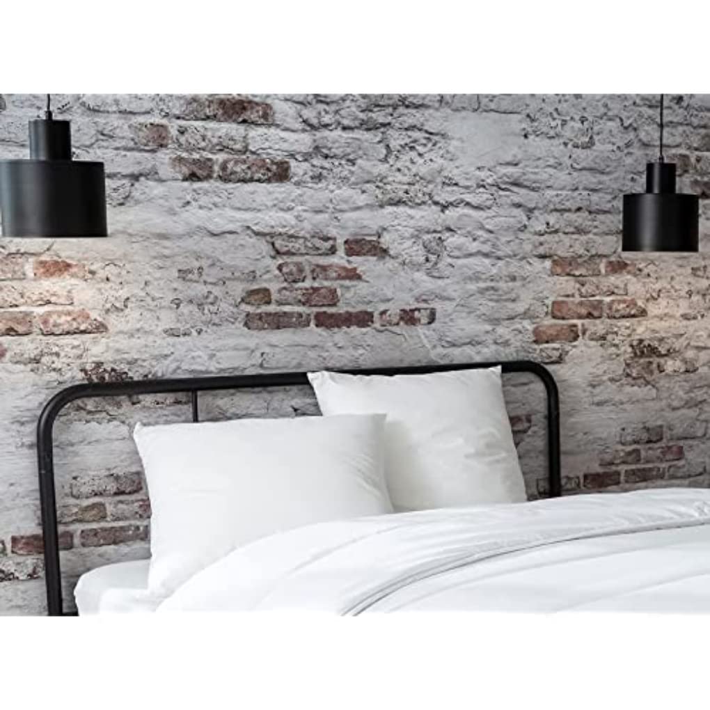 abeil-oreillers-moelleux-acaristop-oreiller-60x60-lot-de-2-anti-acariens image 7